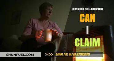 Fuel Allowance Claims: What's Your Limit?