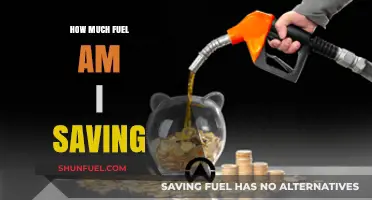 Fuel Savings: How Much Can You Keep?