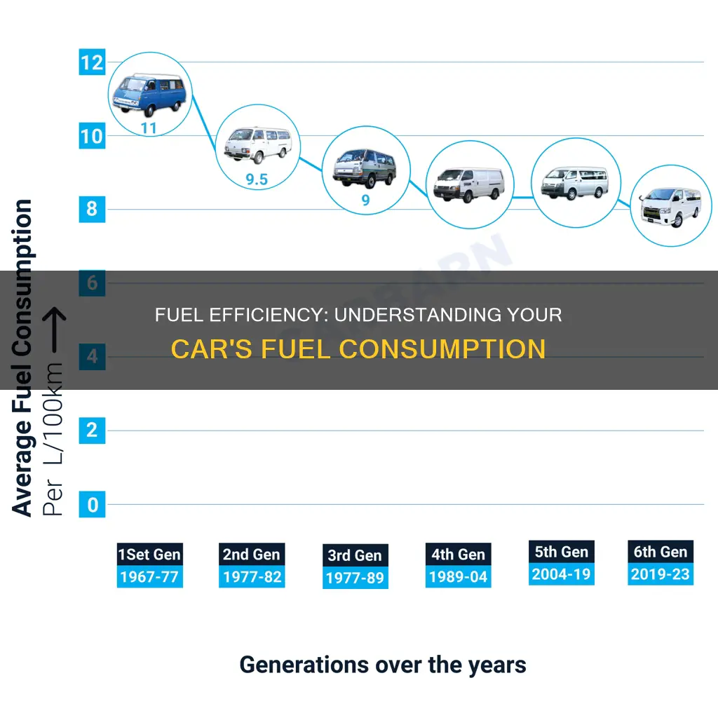 how much fuel am i using