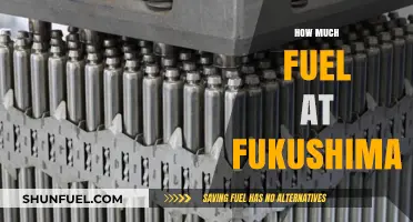Fuel at Fukushima: A Dangerous Amount