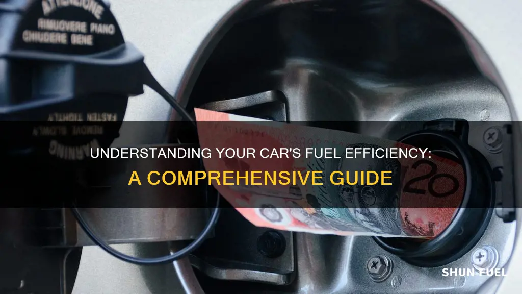 how much fuel average car use