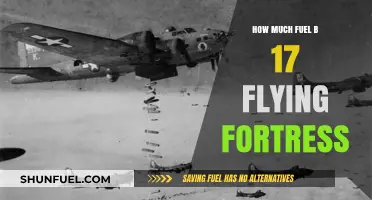 Fuel-Hungry B-17: Massive Consumption, Massive Destruction