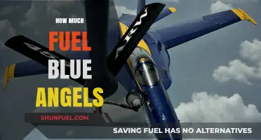 Blue Angels' Fuel Consumption: A Staggering Amount