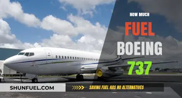 Fuel Efficiency of the Boeing 737: How Much Does It Consume?