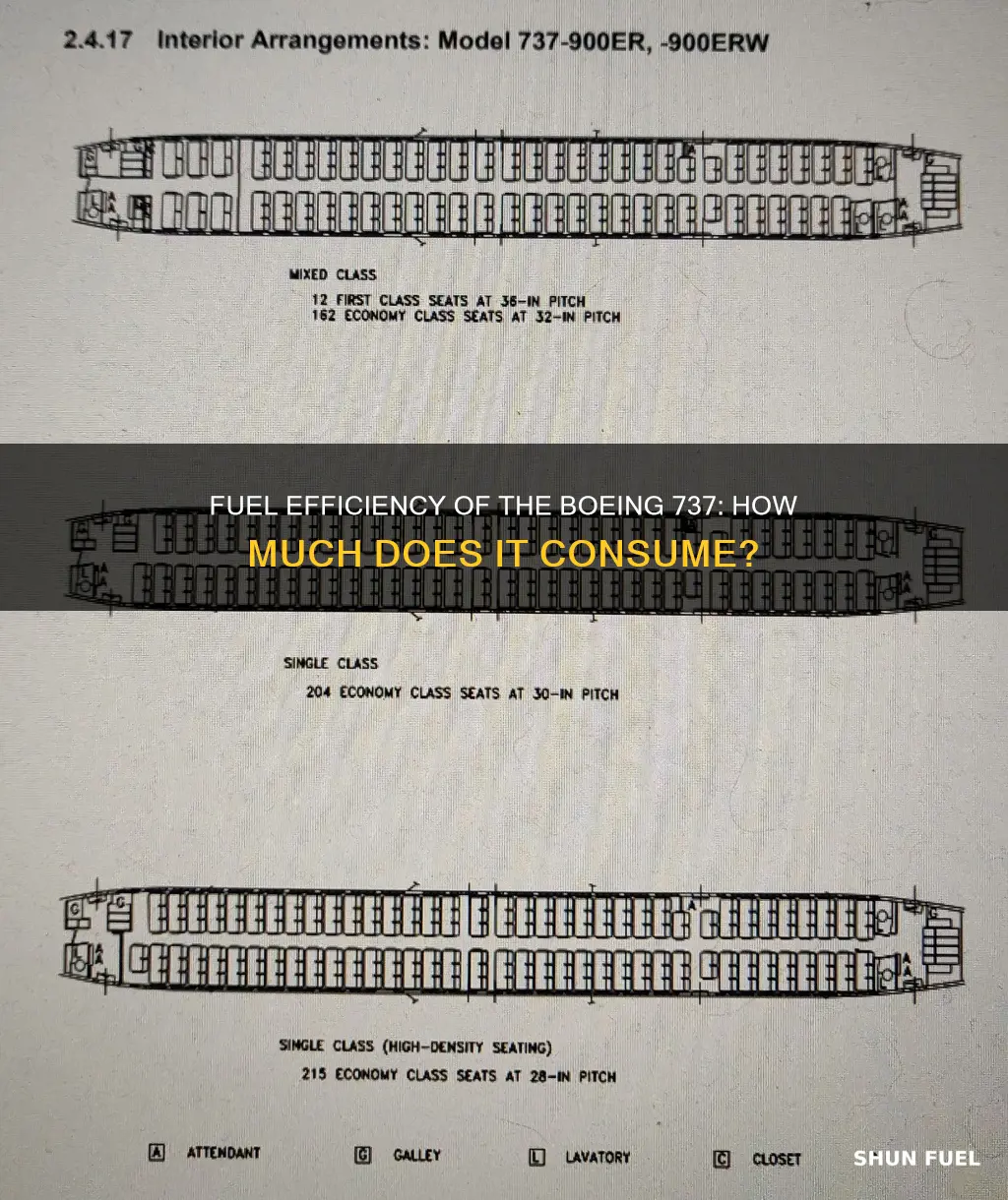 how much fuel boeing 737