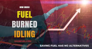 Idling and Fuel Consumption: Burning a Hole in Your Pocket