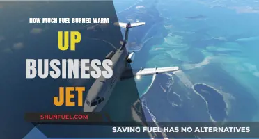 Business Jets: Warm-up Fuel Burned, How Much?
