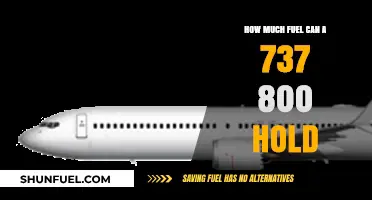 Fuel Capacity of a 737-800: How Much Can It Hold?