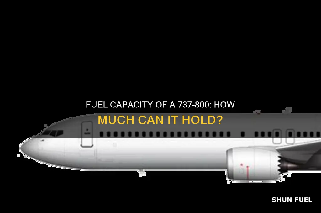 how much fuel can a 737 800 hold