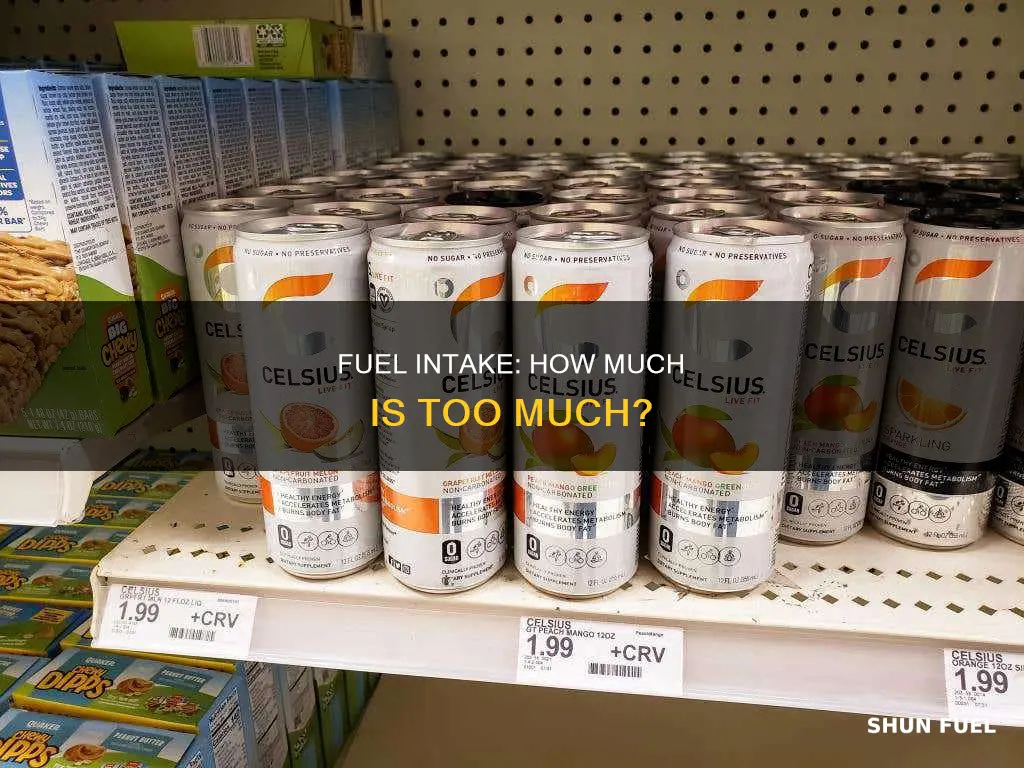 how much fuel can i drink a day