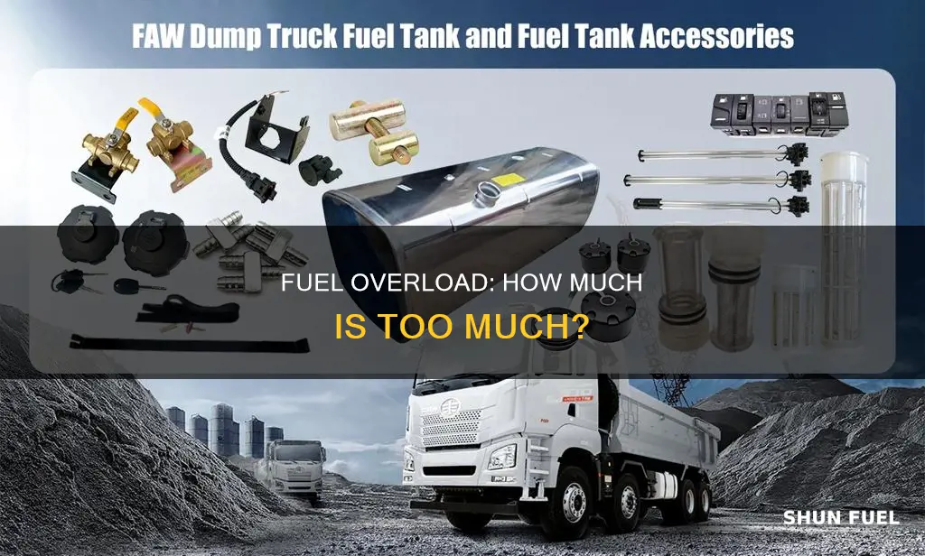 how much fuel can i put on