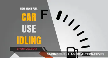 Idling Cars: Fuel Consumption and Environmental Impact