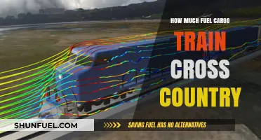 Fuel Efficiency of Cross-Country Cargo Trains