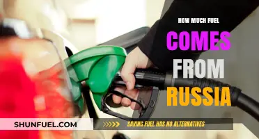 Russia's Fuel Exports: Global Dependence and Geopolitics