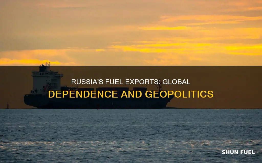 how much fuel comes from russia