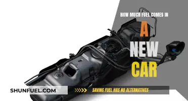 New Cars: Fuel Amounts and Expectations