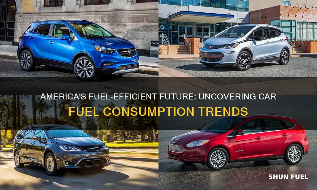 how much fuel consumption by cars in america