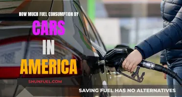 Fuel Consumption by Cars in America: An Overview