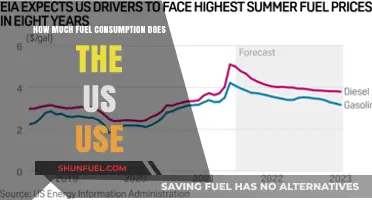 Fuel Consumption in the US: A Comprehensive Overview
