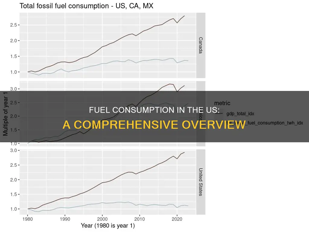 how much fuel consumption does the us use