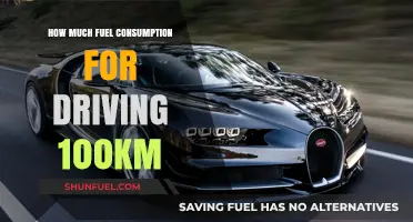 Fuel Efficiency: 100km Drive, How Much Fuel?