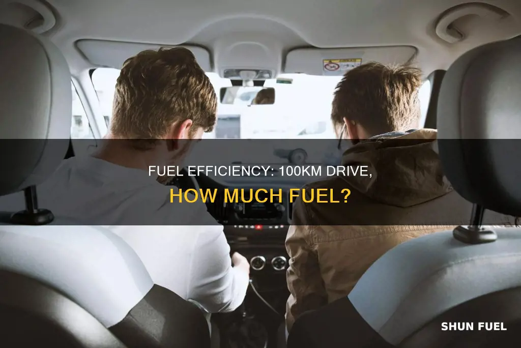 how much fuel consumption for driving 100km