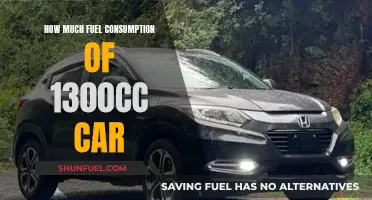 Fuel Efficiency: Unveiling the Secrets of 1300cc Cars