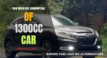 Fuel Efficiency of 1.3L Cars: How Much Do They Really Drink?