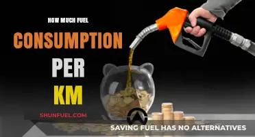 Fuel Efficiency: Understanding Mileage and Consumption