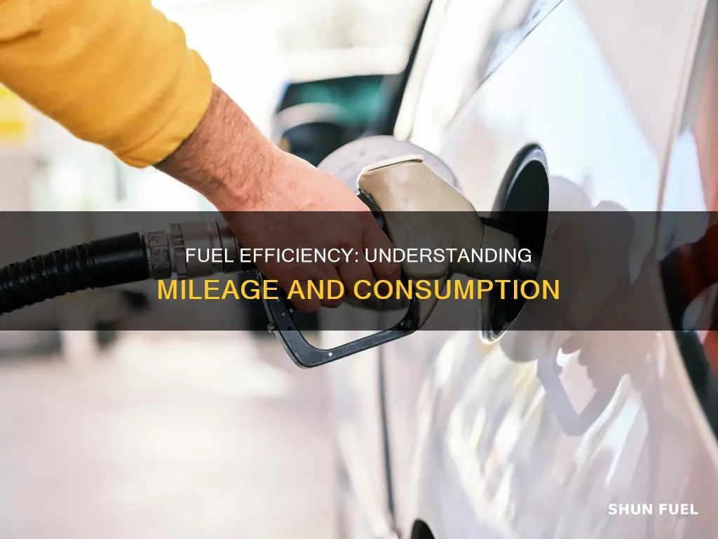 how much fuel consumption per km