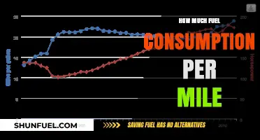 Fuel Efficiency: Miles and Consumption Rates