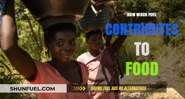 The Energy We Eat: Fuel's Role in Food