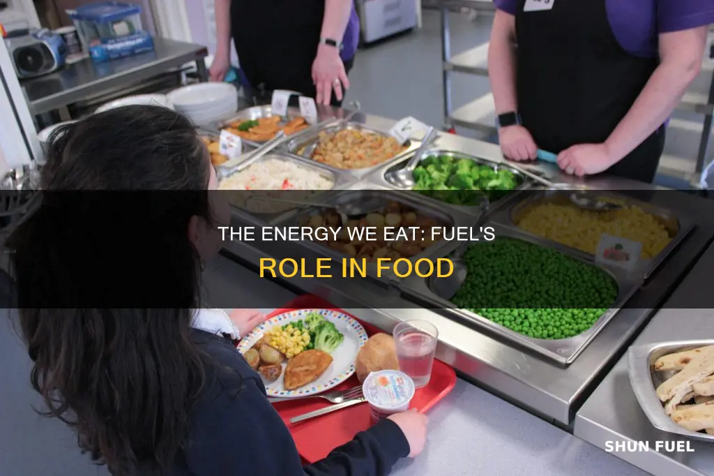 how much fuel contributes to food