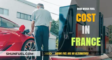 Fuel Costs in France: How Expensive is it Really?