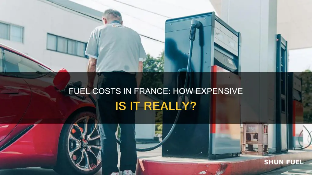 how much fuel cost in france