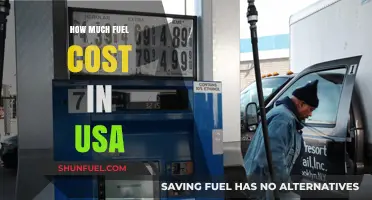 Fuel Costs in the USA: How Much Does it Burn?
