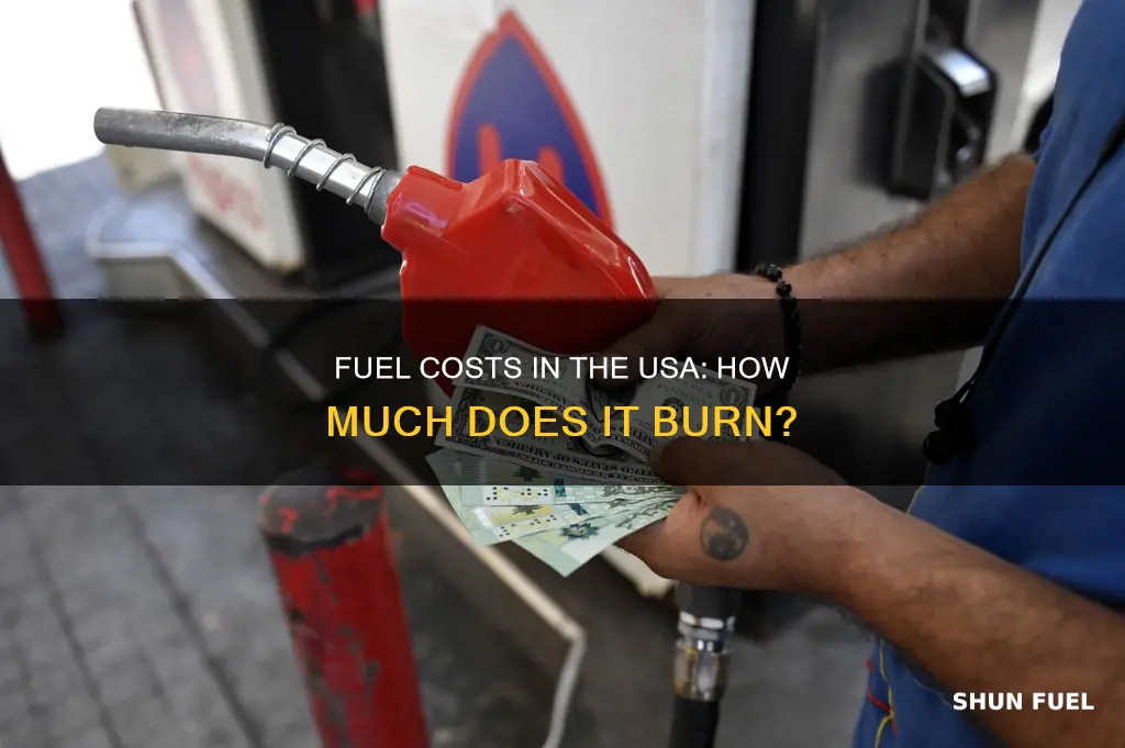 how much fuel cost in usa