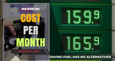 Fuel Costs: Monthly Expenses and Management
