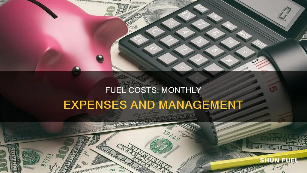 how much fuel cost per month