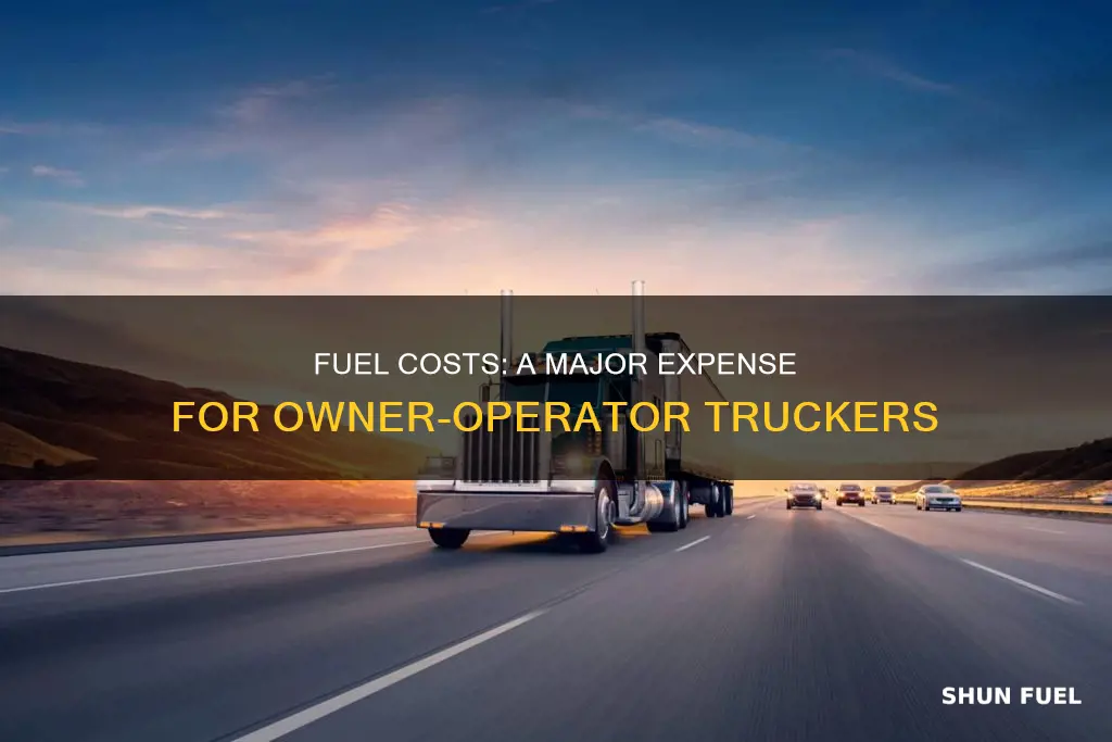 how much fuel costs do owner operator truckers pay for