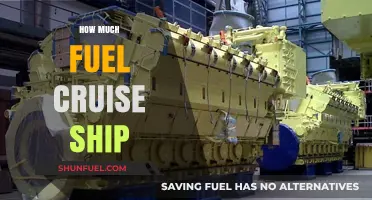 Cruise Ships: Fuel Consumption and Costs