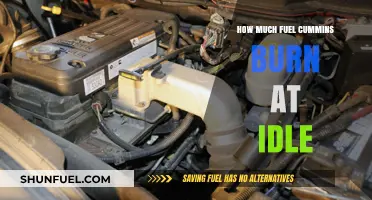 Cummins Fuel Consumption: Burning at Idle