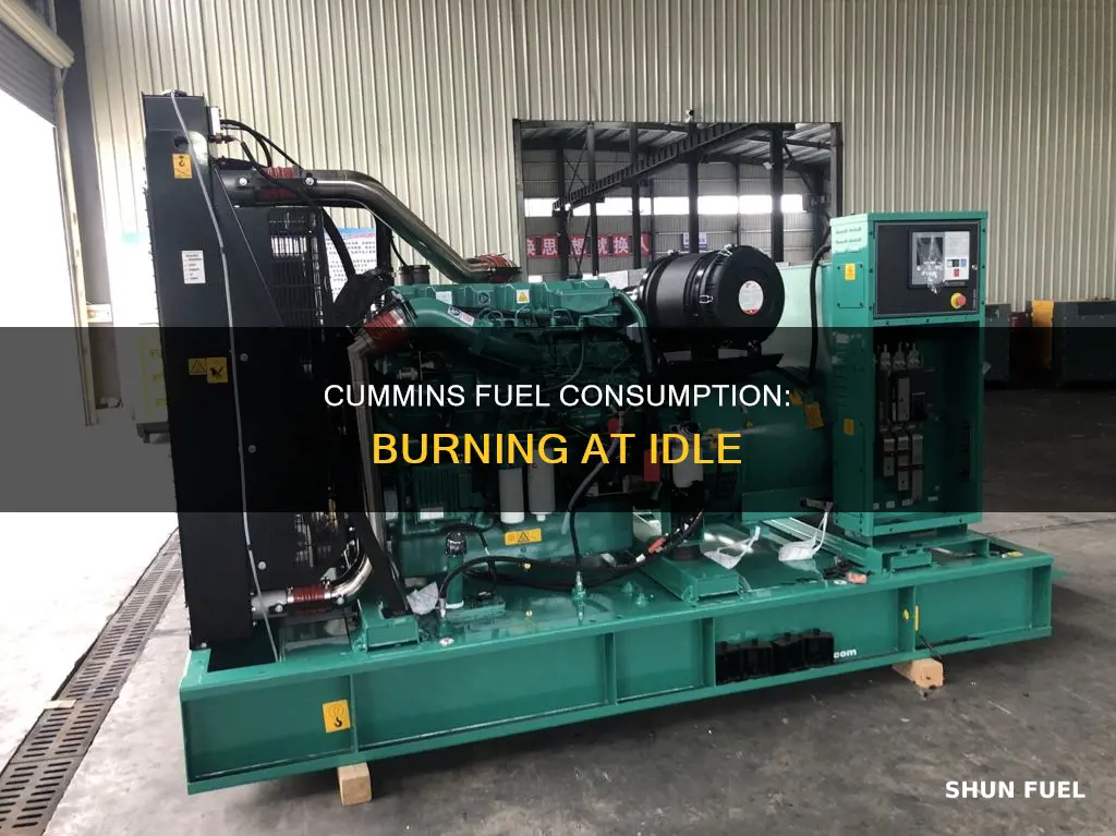how much fuel cummins burn at idle