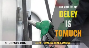 Fuel Cut Delay: How Much is Too Much?
