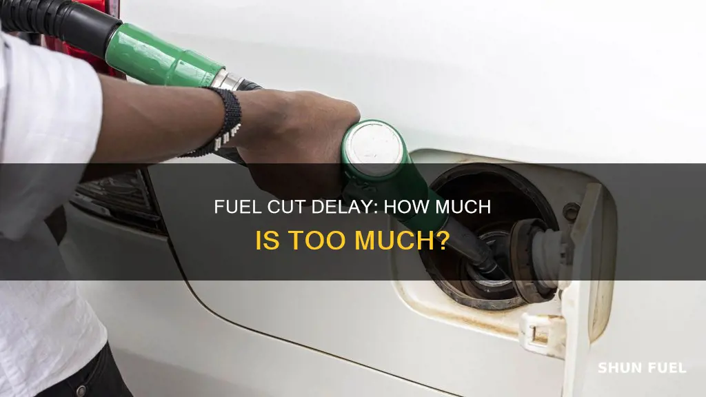 how much fuel cut deley is tomuch