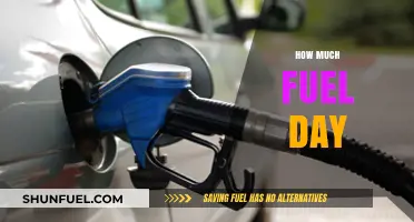 Fuel Efficiency: How Much Do You Need Daily?