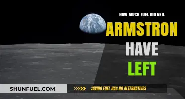The Eagle's Landing: A Hair-Raising Fuel Story