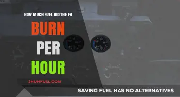Fuel Consumption of the F-4: Burning Up the Sky