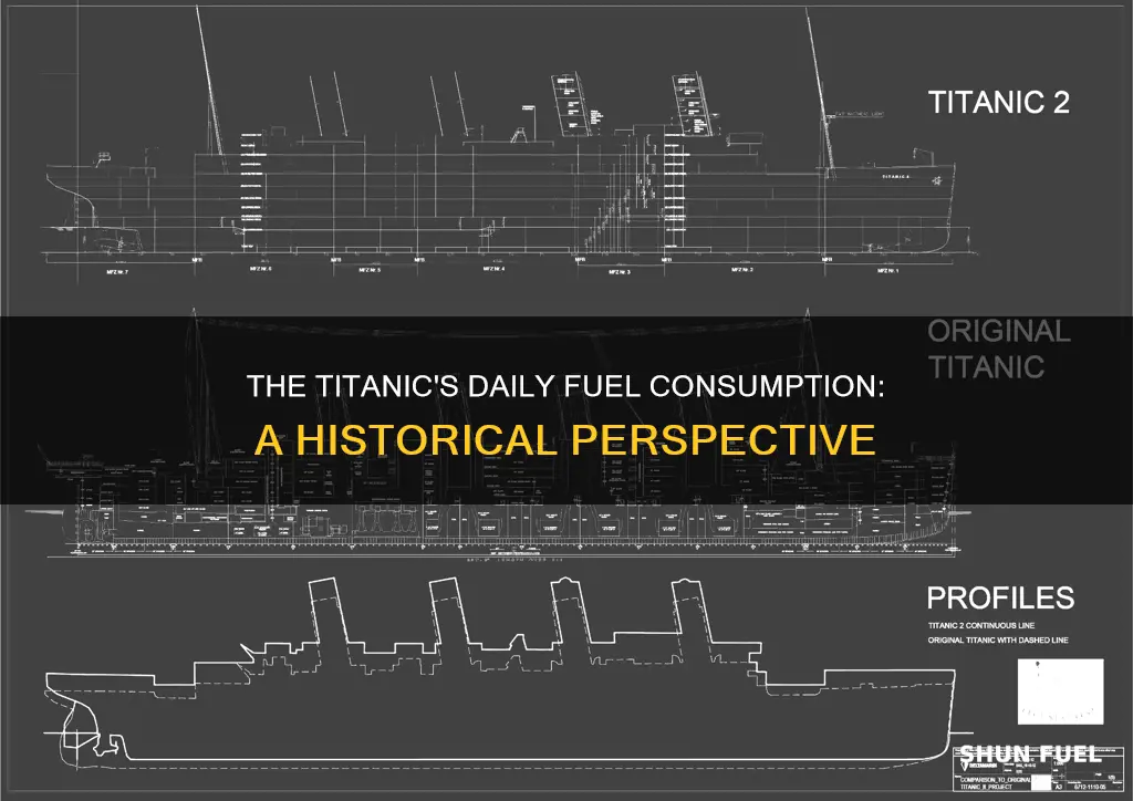 how much fuel did the titanic use each day