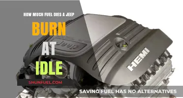 Jeep Fuel Consumption: Burning at Idle